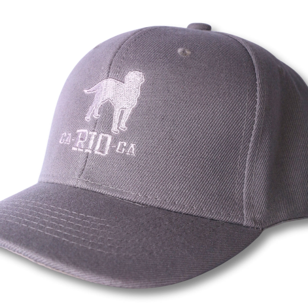 Casquette de baseball brodée du logo CA-RIO-CA The Stealth