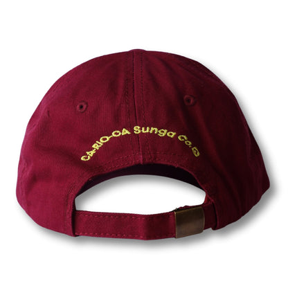 CA-RIO-CA boy from rio - flip -  Dad Hat