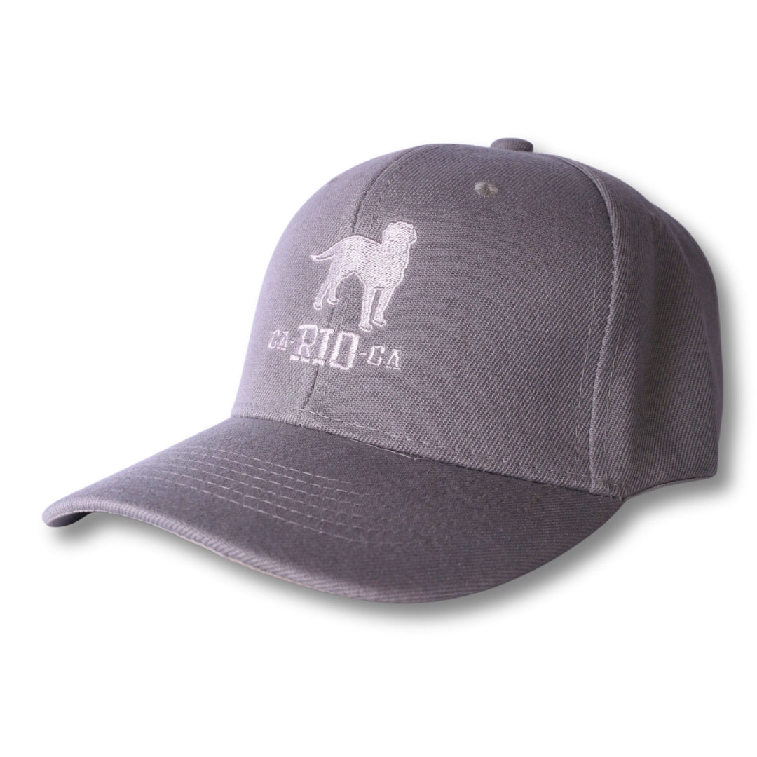Casquette de baseball brodée du logo CA-RIO-CA The Stealth