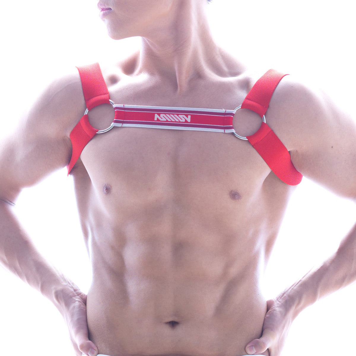 Red ashley brand harness with silver metal rings and white logo strip from metromalewear in red
