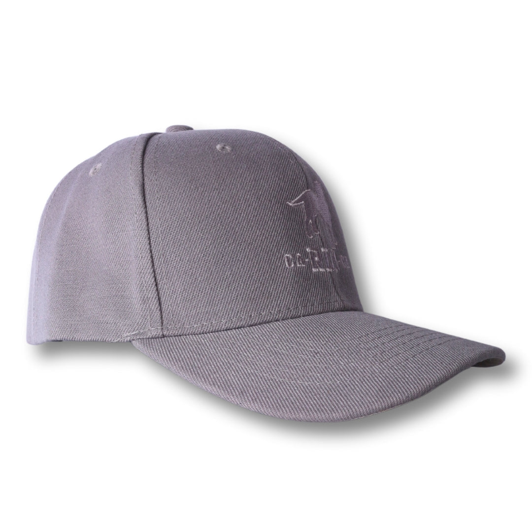 Casquette de baseball brodée du logo CA-RIO-CA The Stealth