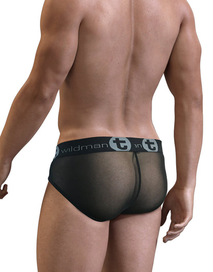 Black sheer mesh briefs with wildman elastic waistband in gray from 2 pack slut big boy pouch brief set