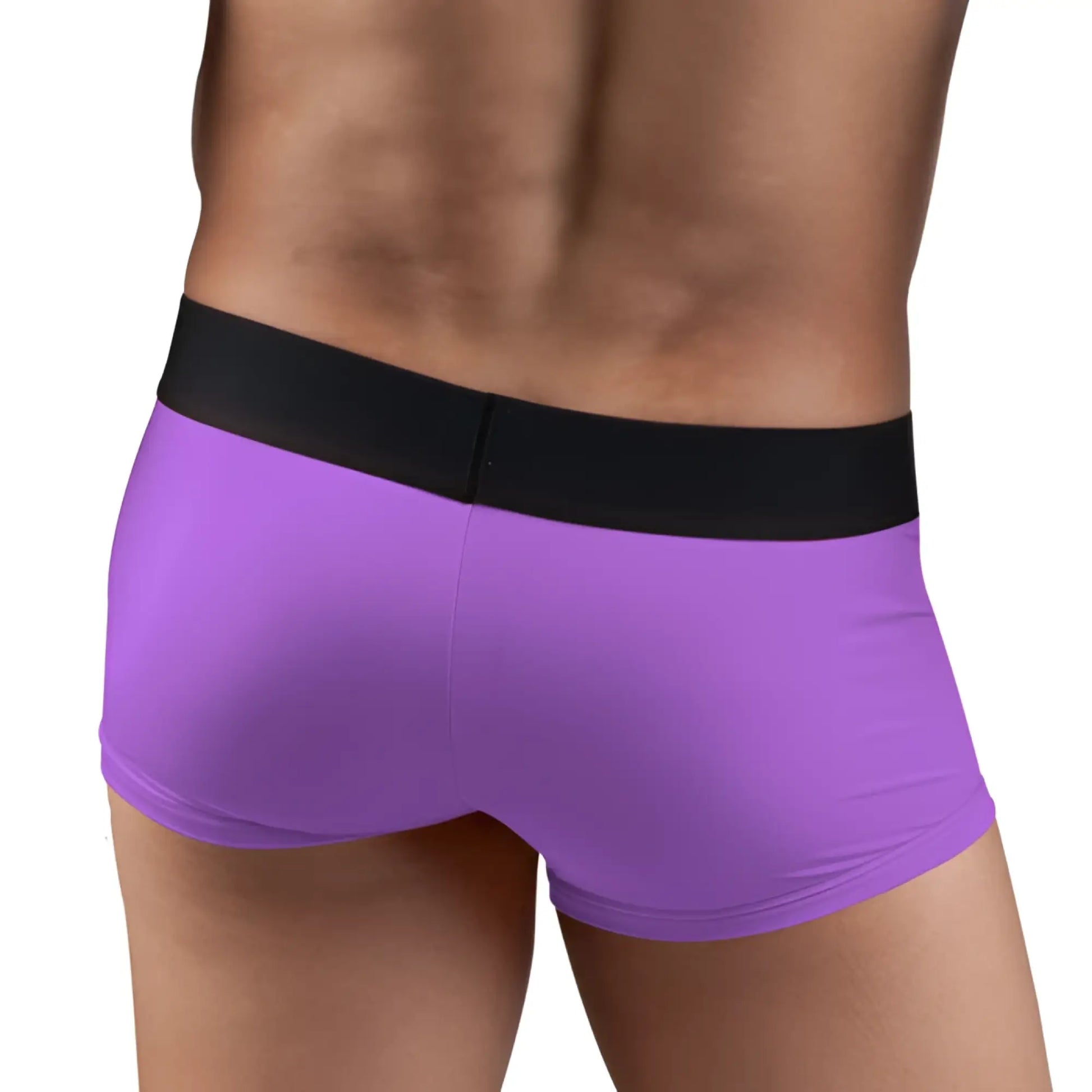 Purple microfiber briefs with black elastic waistband from papi loop solid brazilian trunk boxer brief 2 pack size s