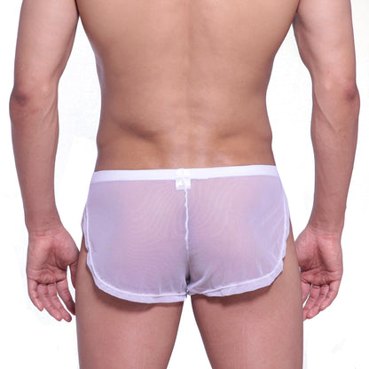 White sheer mesh briefs with solid white waistband from metromalewear lounge split boxer collection 2008-72
