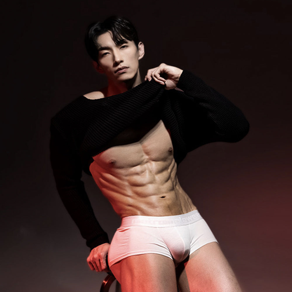 MetroMaleWear County trunk white briefs with smooth form-fitting design and subtle elastic waistband