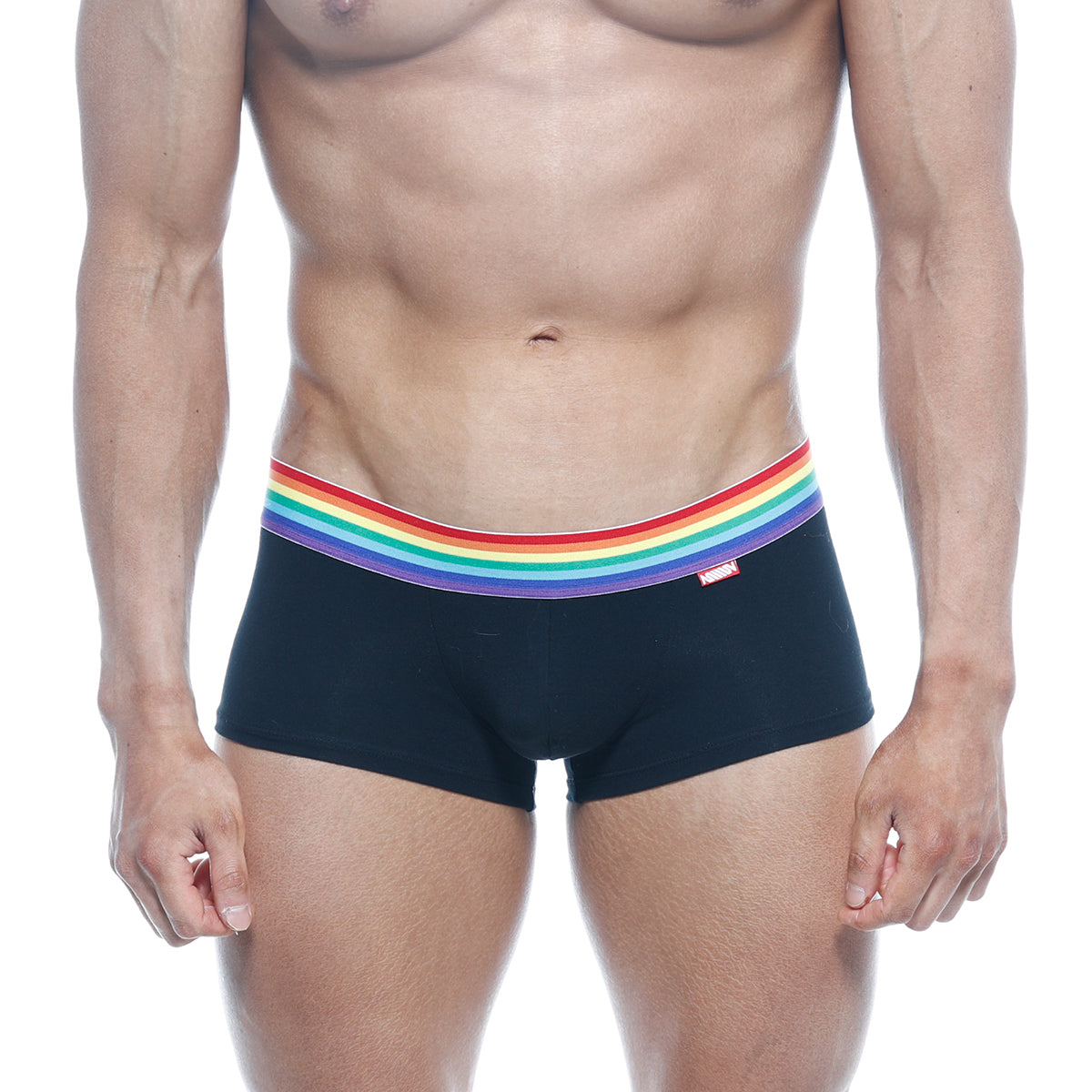 Black briefs with a vibrant rainbow-striped waistband from metromalewear pride trunk 2026-r20 collection