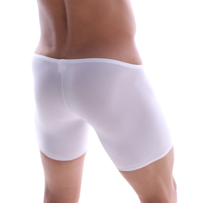 MetroMaleWear minimo long boxer white 2034-00 white sheer mesh briefs with smooth form-fitting design