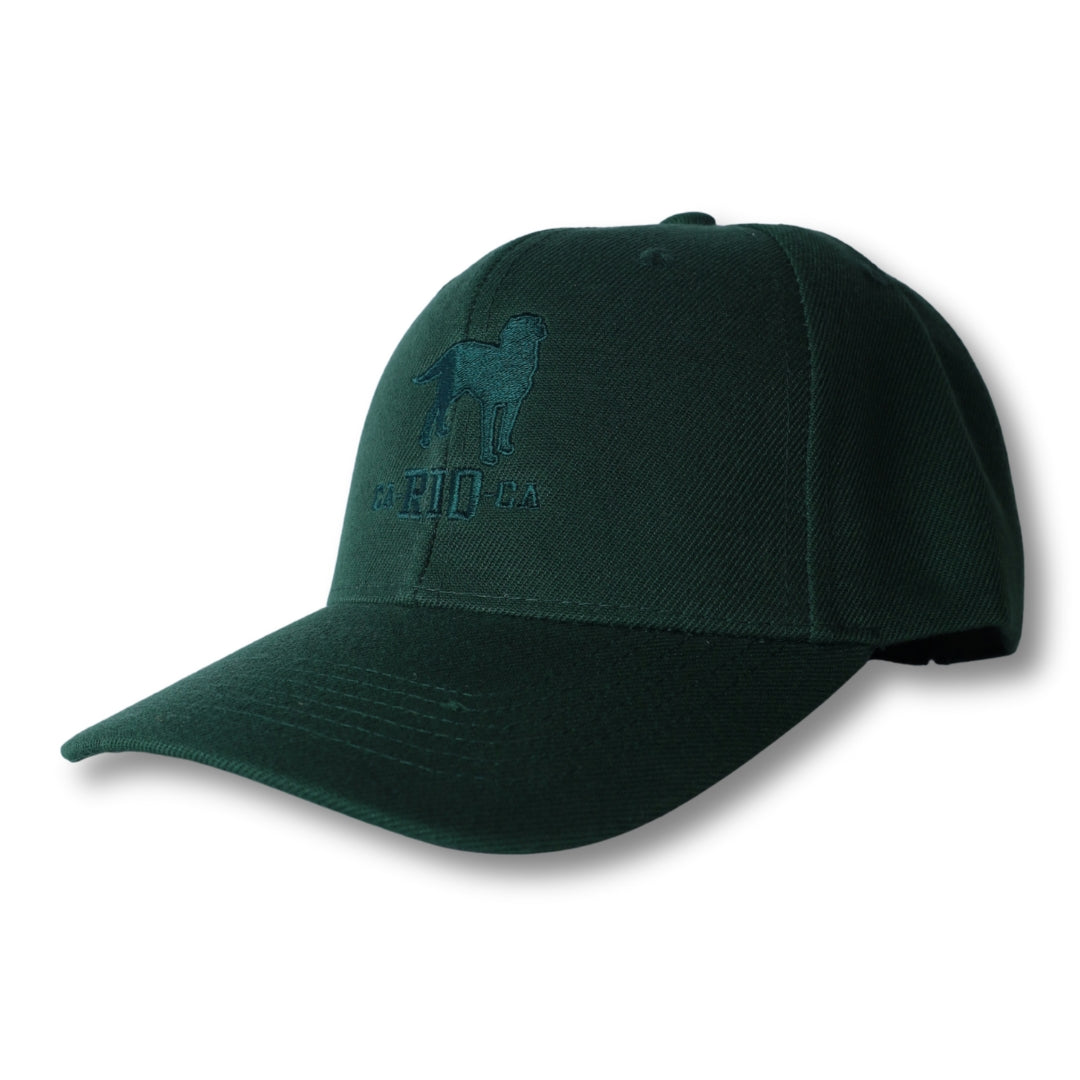 Casquette de baseball brodée du logo CA-RIO-CA The Stealth