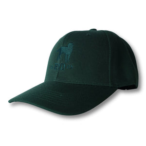CA-RIO-CA The Stealth CA-RIO-CA  Logo Embroidered Baseball Hat