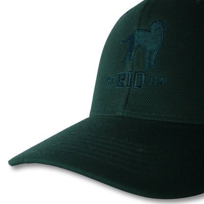 Casquette de baseball brodée du logo CA-RIO-CA The Stealth