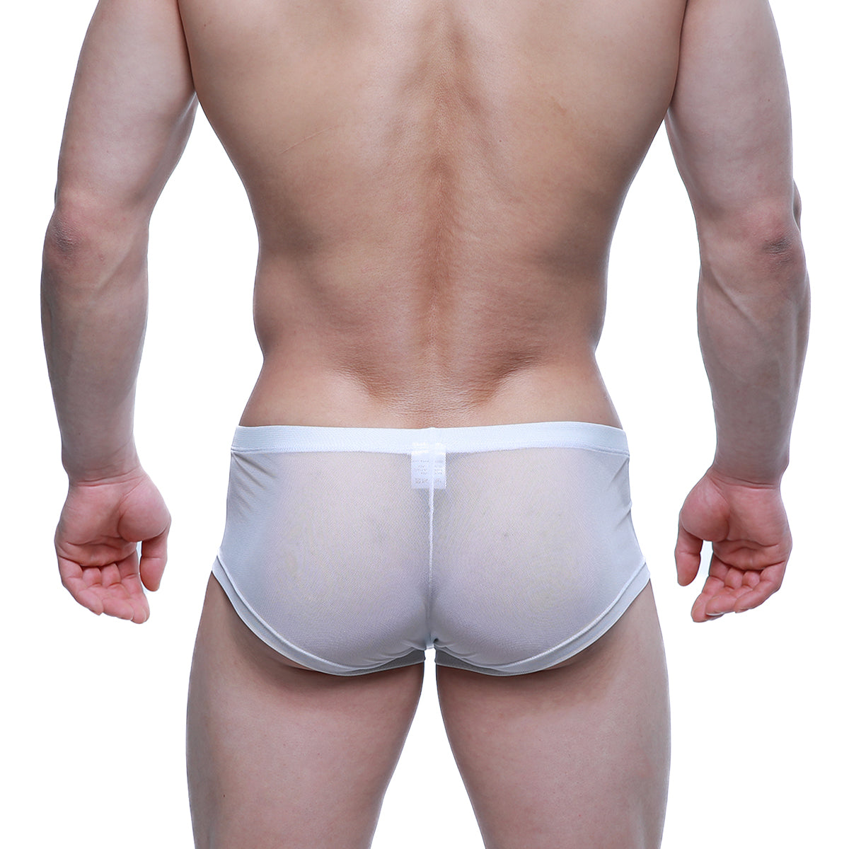 White sheer mesh briefs with solid white waistband metro male wear tull blanco trunk 2125-68 front view