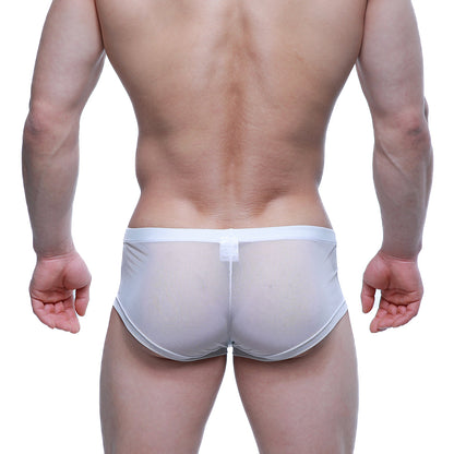 White sheer mesh briefs with solid white waistband metro male wear tull blanco trunk 2125-68 front view