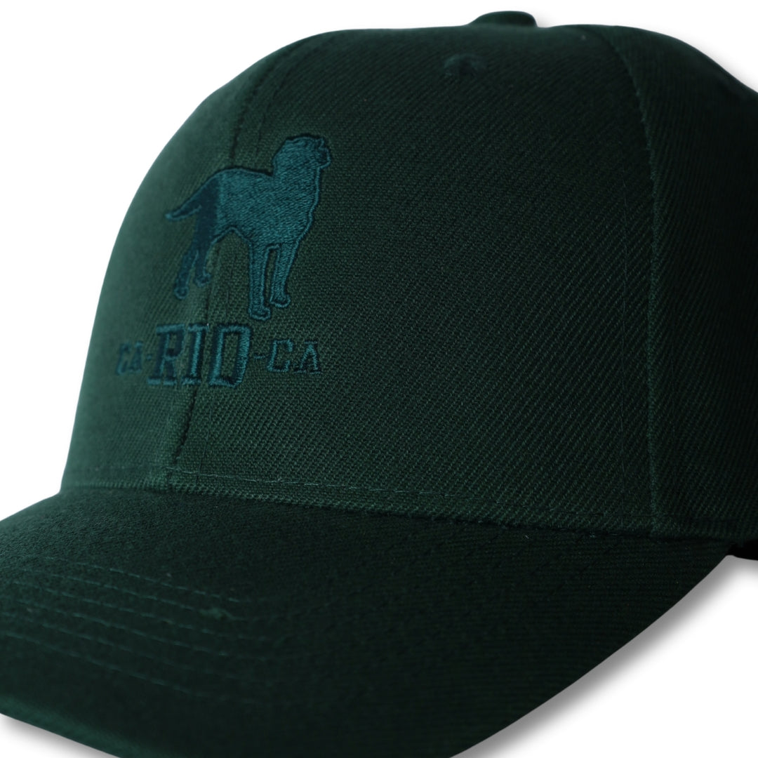 Casquette de baseball brodée du logo CA-RIO-CA The Stealth
