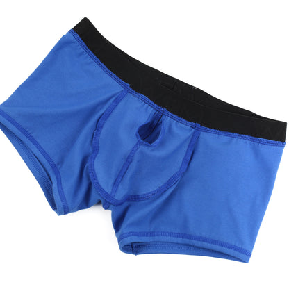 MetroMaleWear Avalon boxer brief royal blue with black waistband and central pouch opening for comfort and support