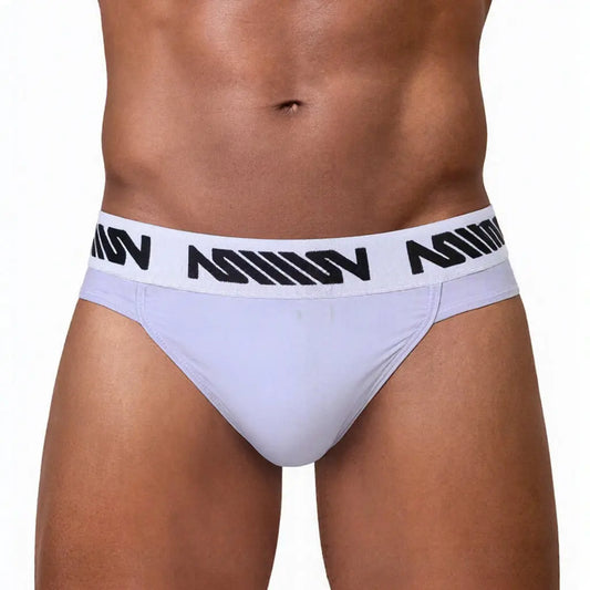 MetroMaleWear (M2W) Men's Gavio Brief Lavender 3506-50