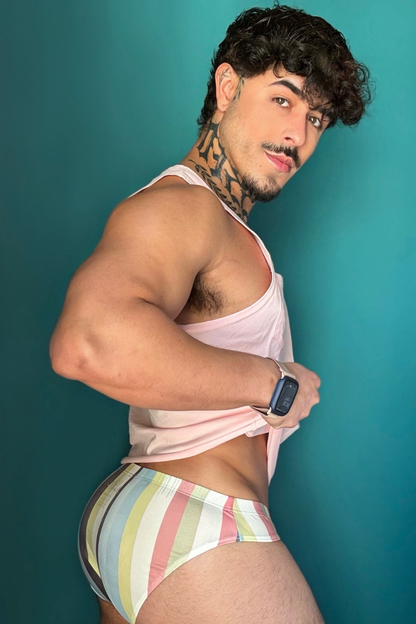JJ Malibu Men's Lovesick Briefs - Retro Stripes