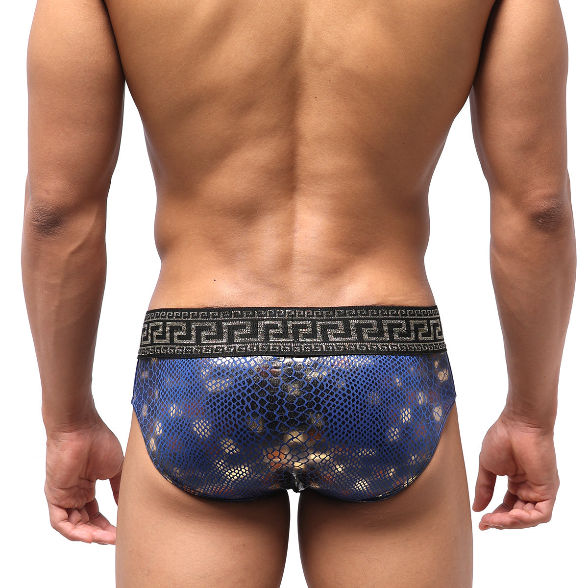 Blue snakeskin-patterned mens briefs with black greek key border waistband metroMalewear special edition aladdin swim brief