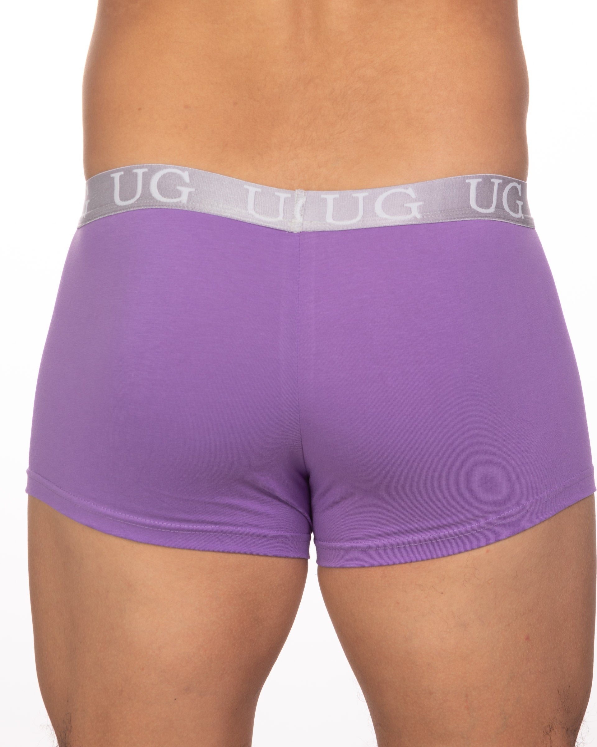 Purple ug brand briefs with gray waistband featuring ug logo in white from 5-pack undergear basix trunk collection