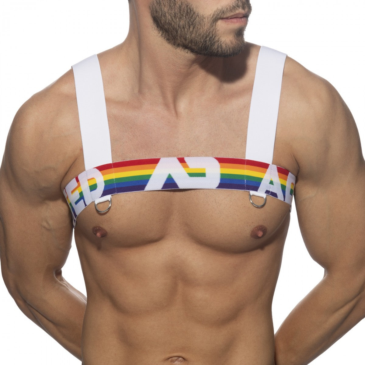 Ad rainbow harness with rainbow-striped er and a lettering strap and white shoulder straps for secure fit