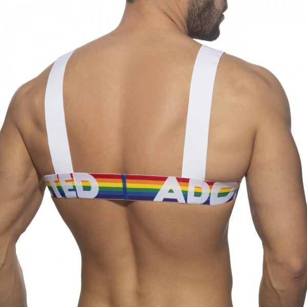Rainbow-striped bandeau top with white straps and bold ted ad lettering from the ad rainbow harness collection