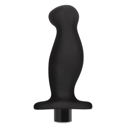 Blush Vibe Platinum Vibrating Prostate Massager