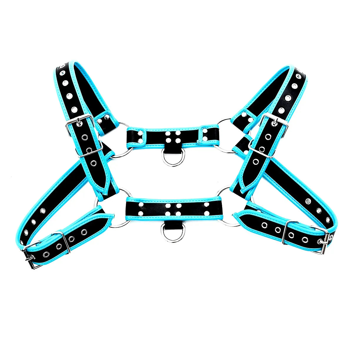 Black and turquoise leather bulldog harness with piping and silver toned metal hardware shown from the back side
