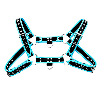 Black and turquoise leather bulldog harness with piping and silver toned metal hardware shown from the back side