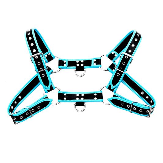 Black and turquoise leather bulldog harness with piping and silver toned metal hardware shown from the back side