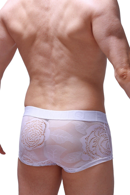 White boxer brief dome coudray with lace trim sheer mesh design and elastic waistband for comfortable fit
