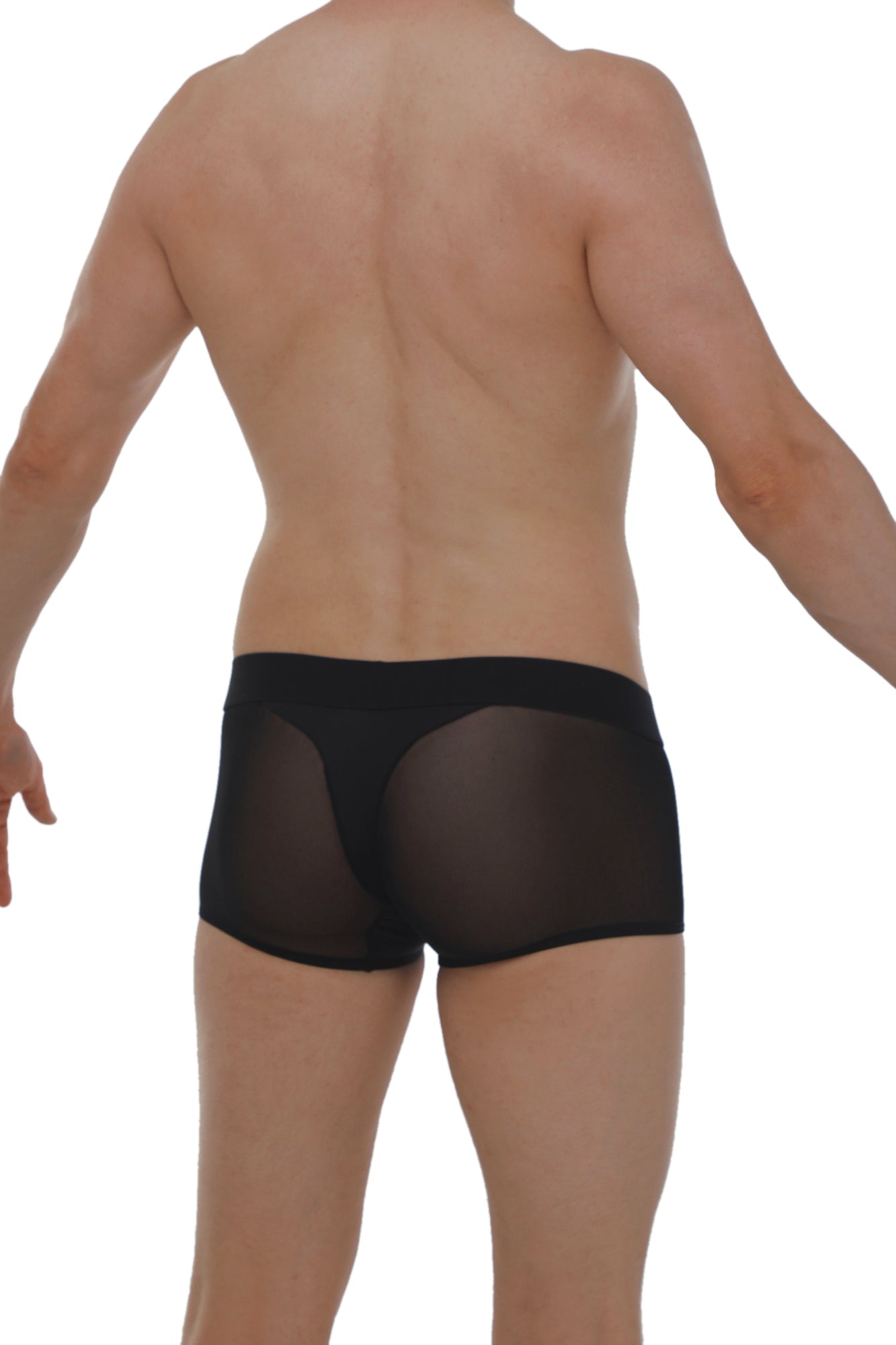 Black sheer mesh briefs boxer noth black with a solid black waistband front view