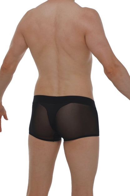 Black sheer mesh briefs boxer noth black with a solid black waistband front view
