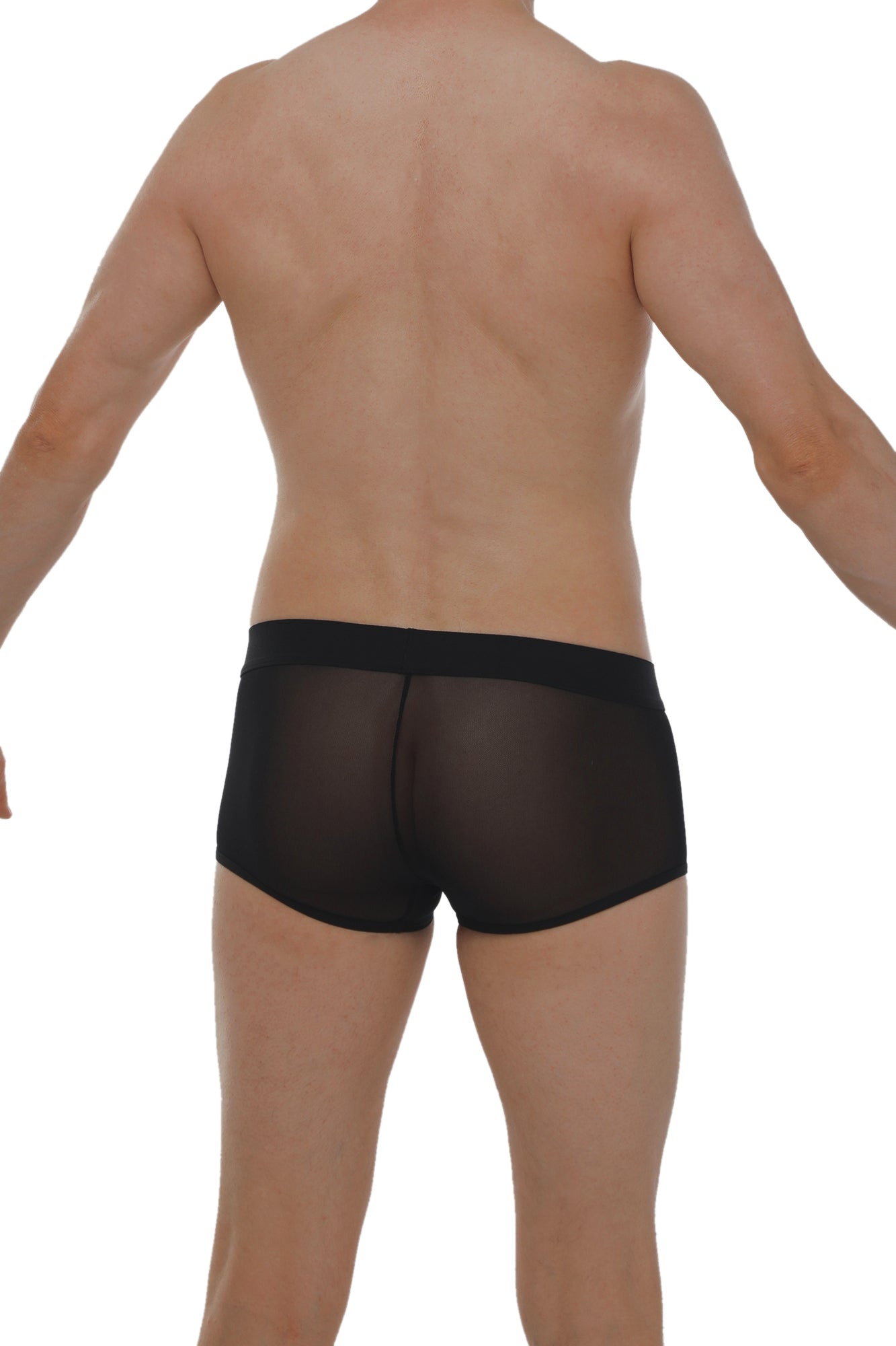 Black sheer mesh briefs boxer petitq net black with solid black waistband for a stylish comfortable fit