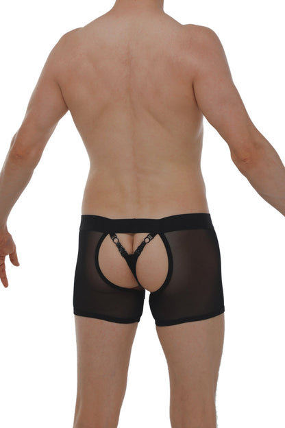 Black sheer mesh boxer string garter angy net briefs with lace trimmed back panel and adjustable straps shown from back