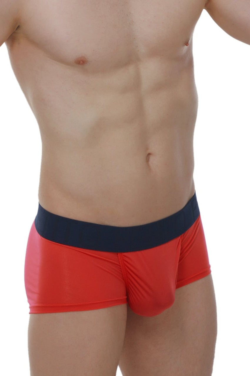 Red and navy blue boxer taik plum crimson briefs with smooth stretchy fabric waistband for athletic wear
