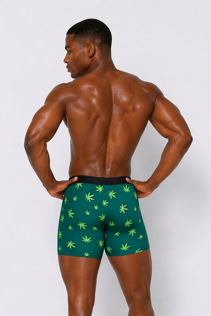Curious Beaver Men's Boxer Briefs - 420