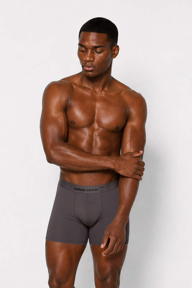 Curious Beaver Men's Soft Modal Boxer Briefs - Storm Gray