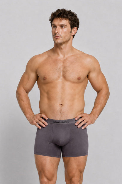 Curious Beaver Men's Soft Modal Boxer Briefs - Storm Gray