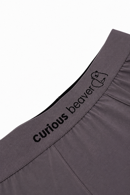 Curious Beaver Men's Soft Modal Boxer Briefs - Storm Gray