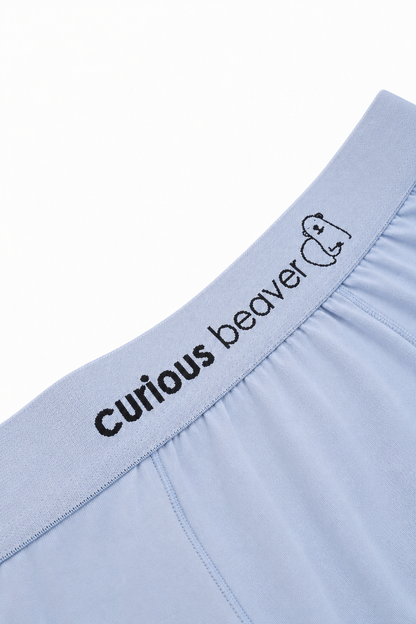 Curious Beaver Men's Soft Modal Boxer Briefs - Silver Blue