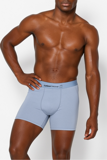 Curious Beaver Men's Soft Modal Boxer Briefs - Silver Blue