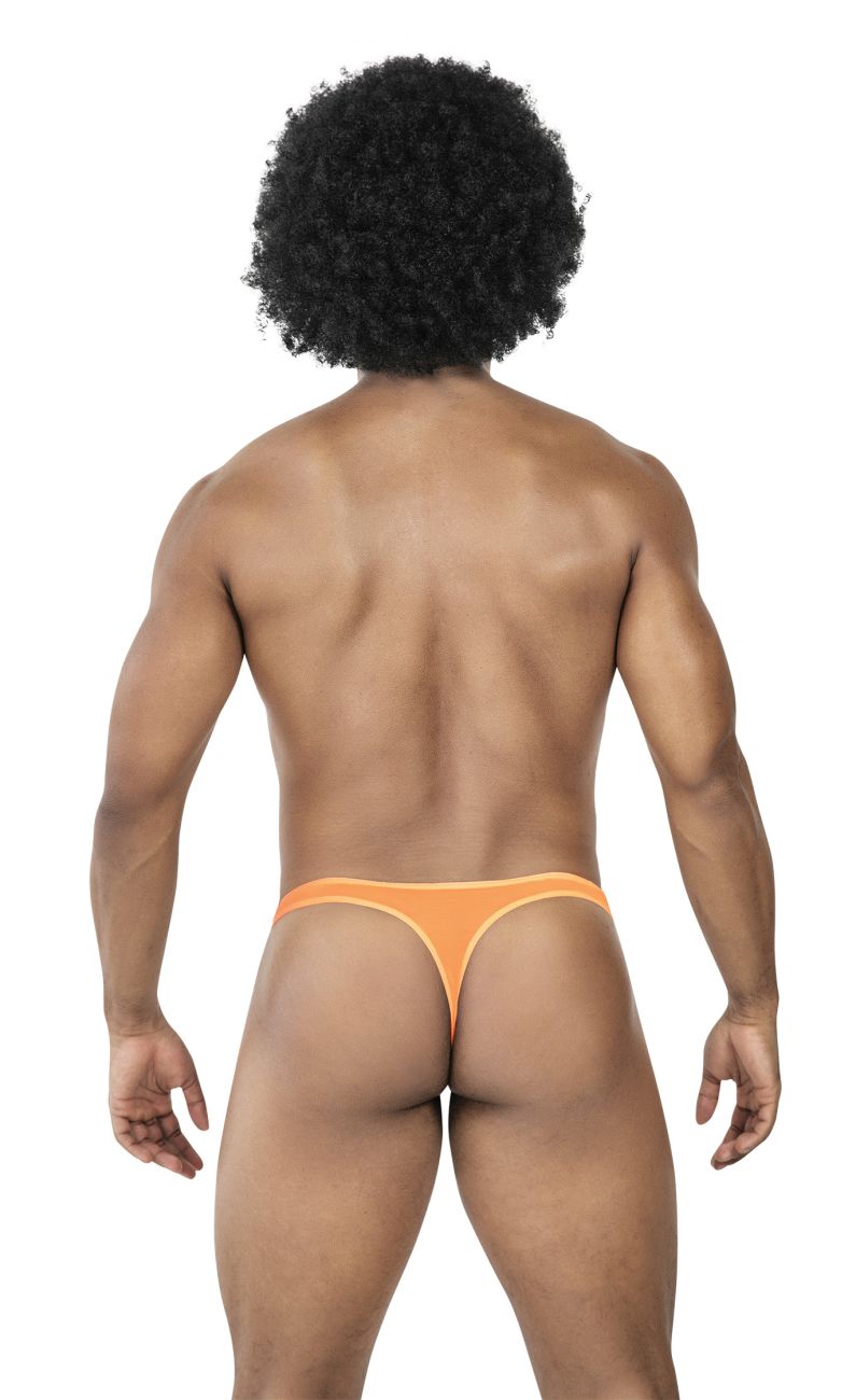 Orange seamless thong from clever 100008 3pk australian latin thongs in black orange black colors with thin design