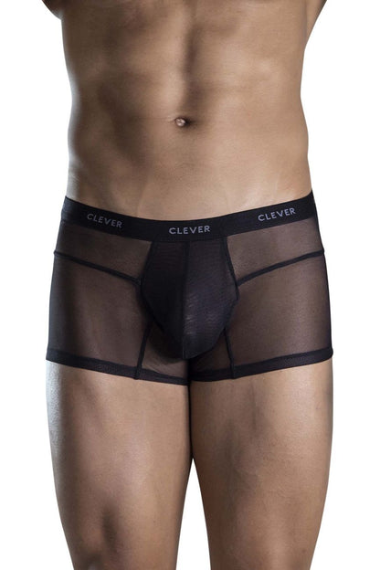 Black sheer mesh briefs with solid inner panel and elastic waistband featuring clever brand name color black