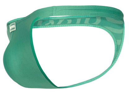 Teal seamless men’s briefs with subtle stripes and branded waistband from clever 1773 cactus thongs color green