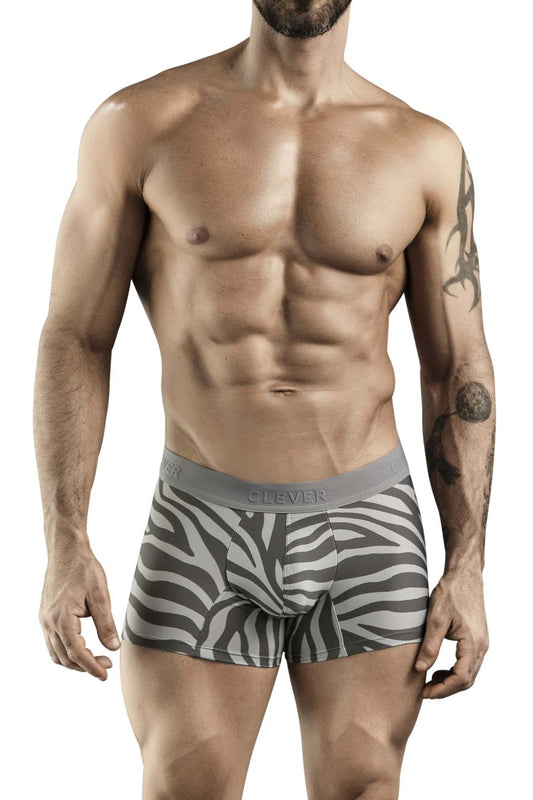 Gray and white zebra-striped boxer briefs with a gray elastic waistband featuring the clever brand name