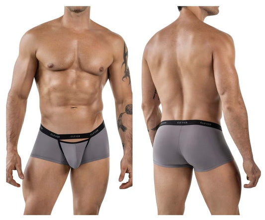 Gray clever 1866 tokio trunks men’s boxer briefs with black elastic waistband and clever brand name