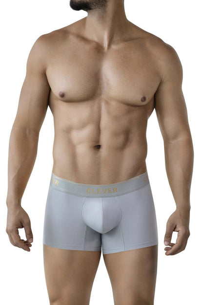 Light gray clever 2026 valladolid trunks boxer briefs with subtle gold logo on waistband for comfortable wear