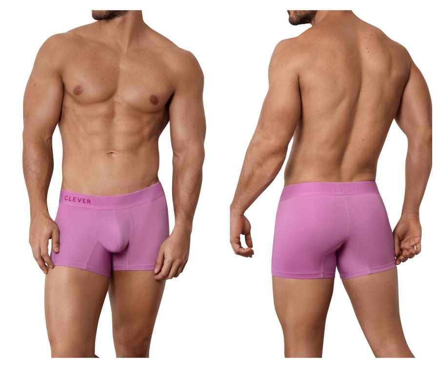 Boxer Clever 1560 Malba Couleur Raisin