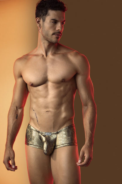 Gold metallic patterned men’s briefs with a ’clever’ brand label.