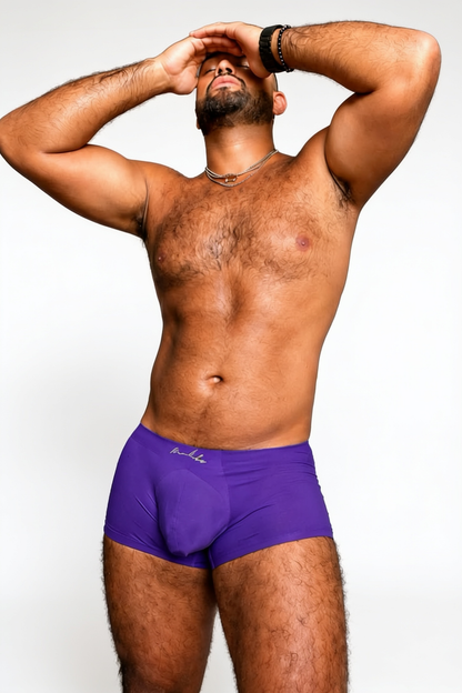 JJ Malibu Men's Come-Over Silky Seamless Boxer Briefs - Violet