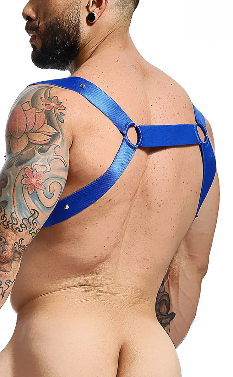 Blue satin strap harness with circular metal rings shown from the back in the DNGEON straight back harness mirror design